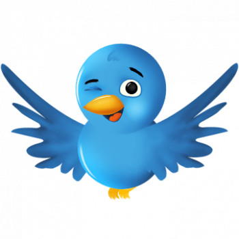 Twitter bird