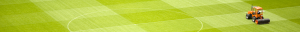 grass_wide background image